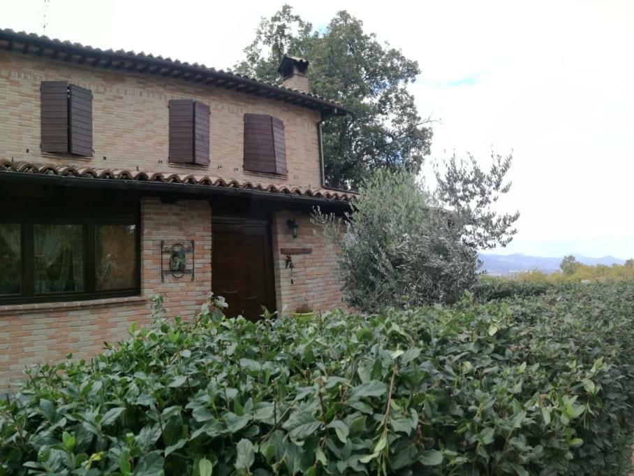 카메리아노 Il Castagneto B&B 외부 사진