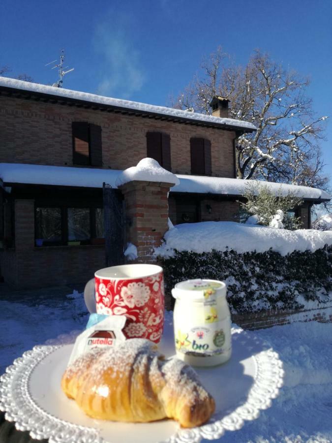카메리아노 Il Castagneto B&B 외부 사진